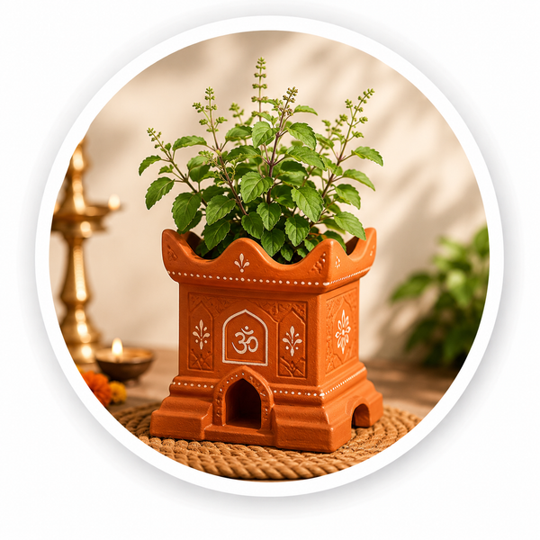 Tulsi Planter